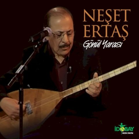Gönül Yarası kapağı