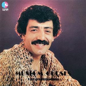 Yaranamadım kapağı
