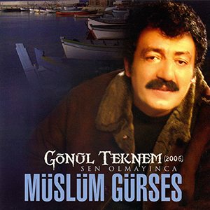 Gönül Teknem kapağı