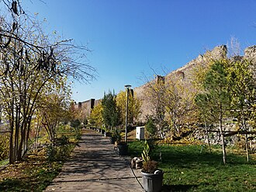 Amed arması
